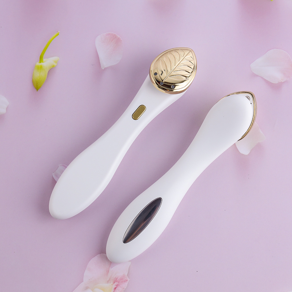 Gesichts-EMS-Faltenentfernungs-Facelifting-Massagegerät Beauty Introducer